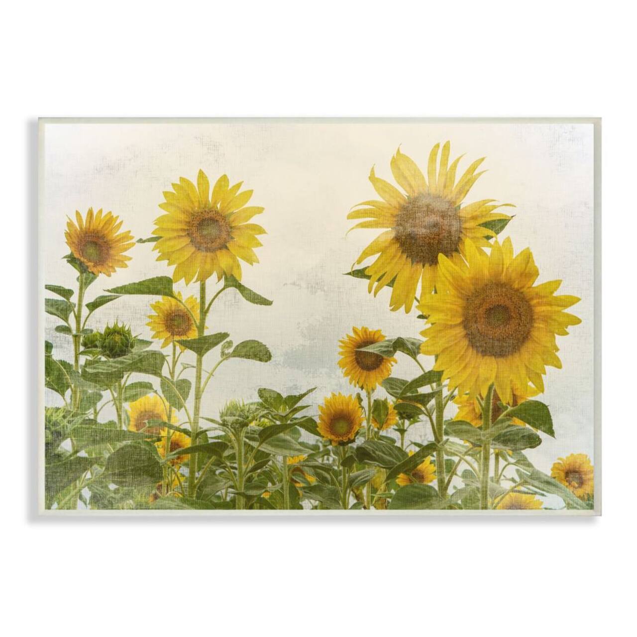 Stupell Industries Sunflower Garden Farm Burlap Wall Plaque